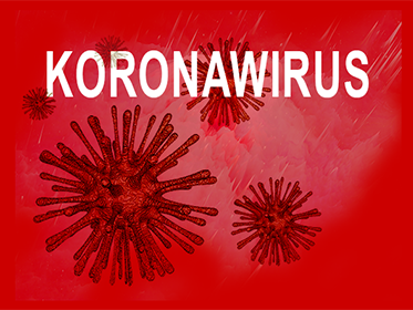 koronawirus